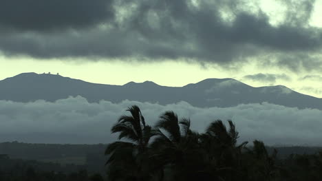 Hawaii-Mauna-Kea-in-evening-with-palms