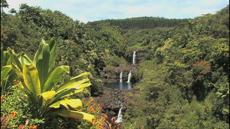 Hawaii-Umauma-Falls-7