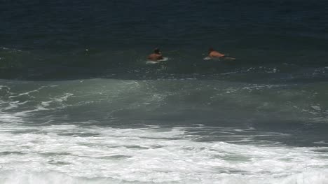 Hawaii-waves-near-Hilo-at-Kolekoke