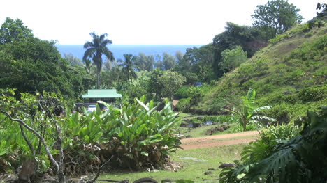 Casa-De-Campo-Y-Cultivos-En-Kauai