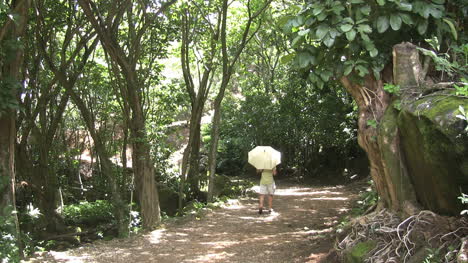 Hawaii-Kauai-Man-with-an-umbrella-walks-on-a-path