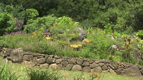 Kauai-Pans-stone-terrace-with-crops