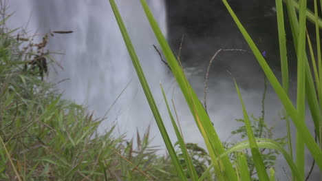 Kauai-Plunging-water-seen-through-grass-2