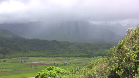Rain-storm-in-mountains-of-Kauai