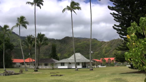 Kauai-Siedlung-Mit-Palmen-2