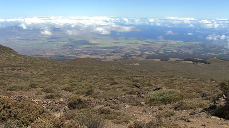 Maui-Haleakala-Blick-Mit-Vegetation