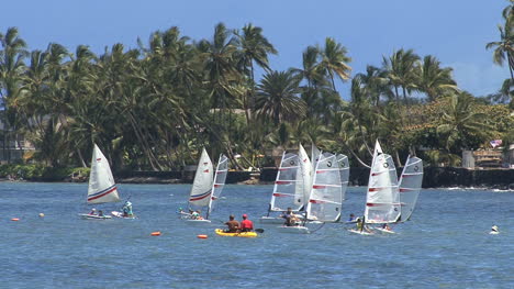 Kayakistas-Y-Windsurfistas-En-Hawaii
