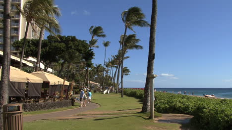 Maui-Palm-trees-at-resort-with-tourists