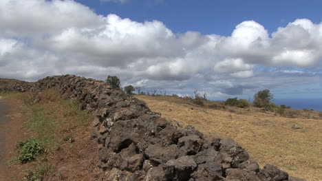 Maui-Stone-wall-in-grassland