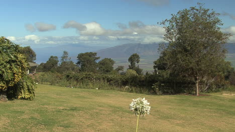 Maui-Hochland-Blick-über-Die-Insel