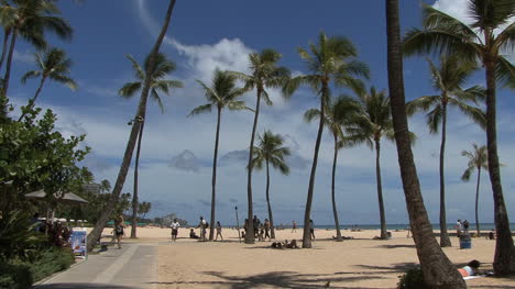 Waikiki-beach-with-palms-2