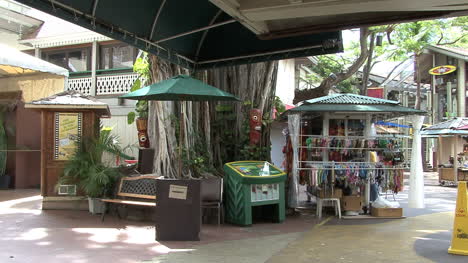 Waikiki-Internationaler-Marktplatz-Market