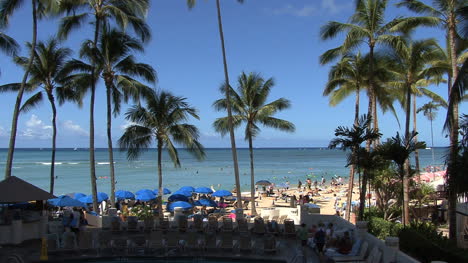 Waikiki-Sonnenschirme-Und-Palmen