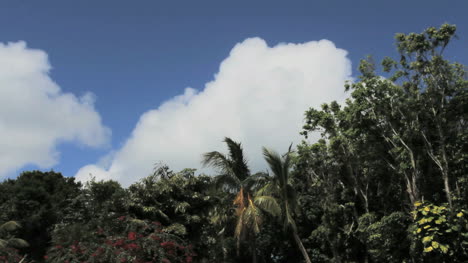 St.-Thomas-cloud-over-tropical-vegetation