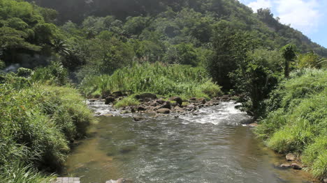 A-flowing-stream-in-Dominica