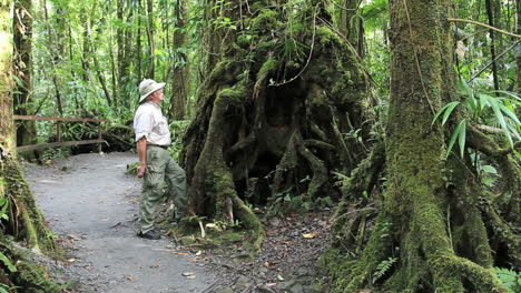 Dominica-rainforest-with-a-man