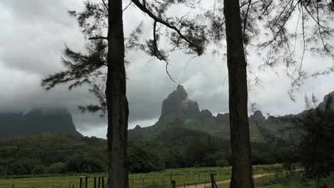 Mountain-framed-by-trees-on-Moorea