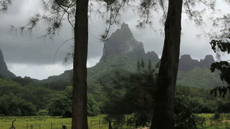Moorea-mountain-framed-by-trees