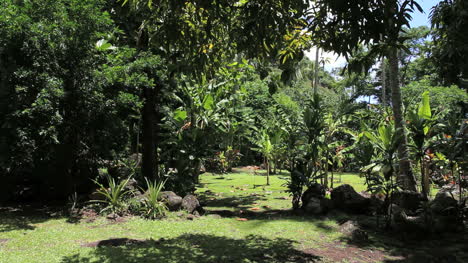 Tahití-Atahurahu-Marae-Vista-Tropical