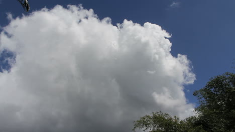 A-rising-cumulus-cloud