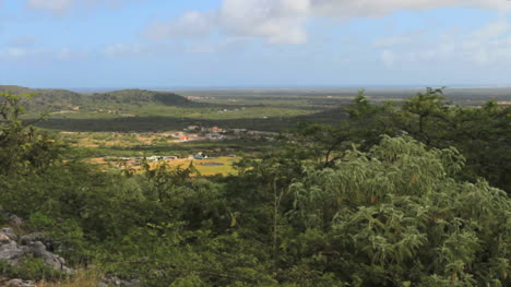 Bonaire-view-from-hill