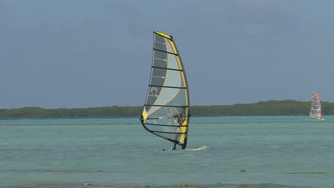 Bonaire-wind-surfer