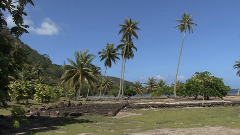 Huahine-stone-platforms-and-palms