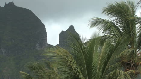 Raiatea-palms-and-peaks