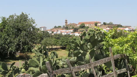 Valencia-de-Alcantara-Spain-with-fence-and-cactus