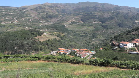 Douro-village-in-a-valley-and-vineyards