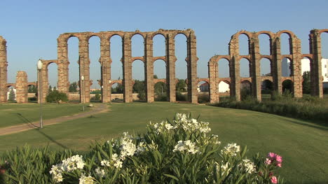 Merida-Aqueduct-of-the-Miracles-flowers