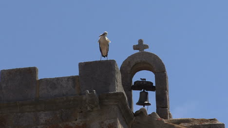 Spanien-Storch-Und-Kirche-2
