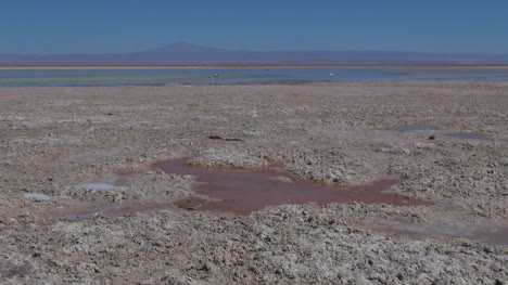 Chile-Atacama-Laguna-Chaxa-maroon-puddle-1