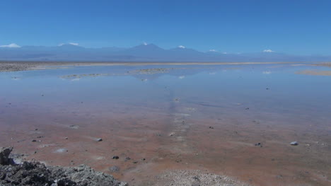 Chile-Atacama-Lagune-Chaxa-Reflektiert-Berge18