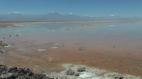 Chile-Atacama-Laguna-Chaxa-Immer-Noch-Pastellfarbene-Untiefen-19