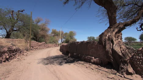 Atacama-oasis-road