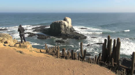 Chile-A-man-in-a-hoodie-at-Punta-Lobos