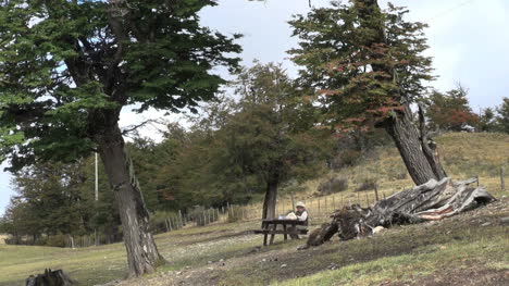 Patagonia-trees-picinic-s1