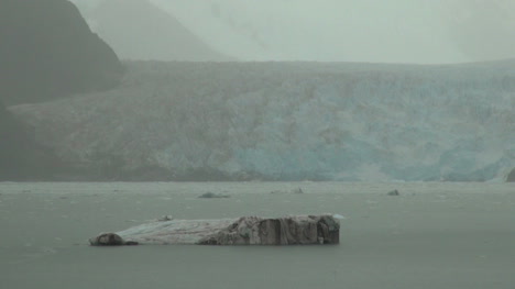 Amalia-Glacier-floating-ice-burg
