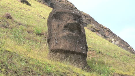 Rapa-Nui-Moai-head-at-Quarry