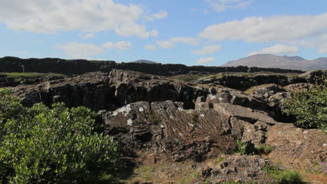 Iceland-Pingvellir-rift-lava-2