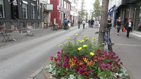 Iceland-Reykjavik-street-with-flowers