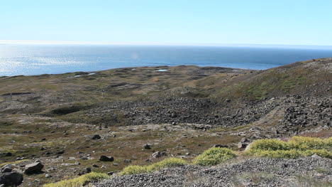 Island-Nördliche-Landzunge-Tundra