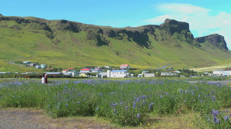 Island-Vik-Stadtansicht