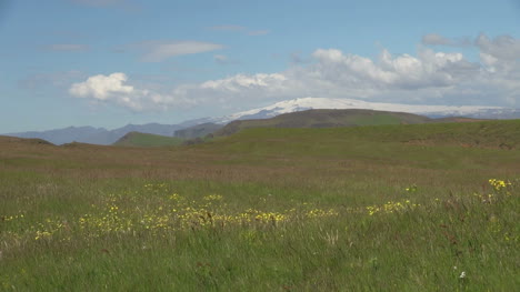 Islandia-Glaciar-Dyrholaey-Y-Flores.
