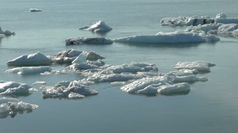 Iceland-Jokulsarlon-ice-floes-in-sun