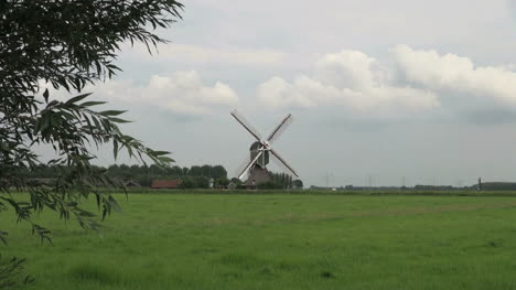 Netherlands-lush-grass-and-windmill-zoom-in