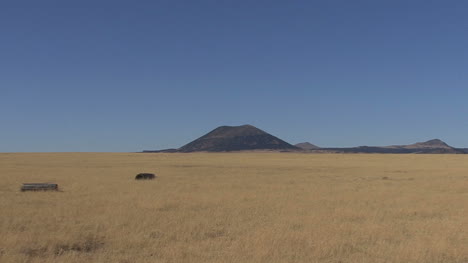 New-Mexico-zooms-to-Capulin