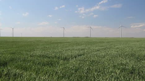 Kansas-Weizen-Und-Windmühlen-C