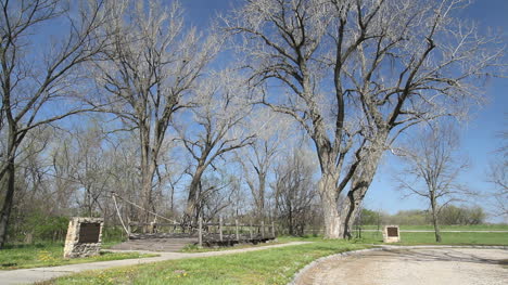Kansas-trees-Oregon-Trail-park-c1